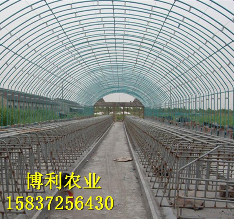 大棚蔬菜種植常見(jiàn)問(wèn)題詳解！